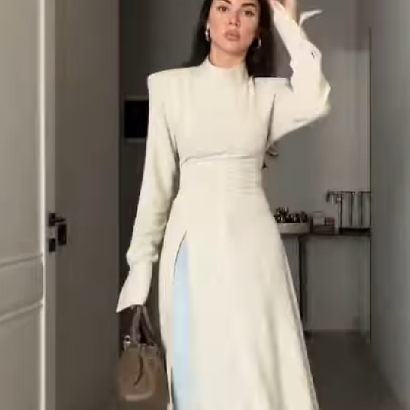 فستان نسائي أنيق طويل الأكمام  - مراجعة Women'S Office Formal Wear For Ladies وسعره