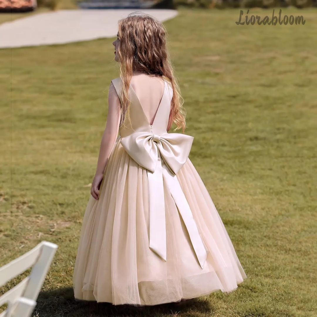 فستان أميرة متعدد الألوان بدون - مراجعة Women'S Formal Wear For Girls وسعره
